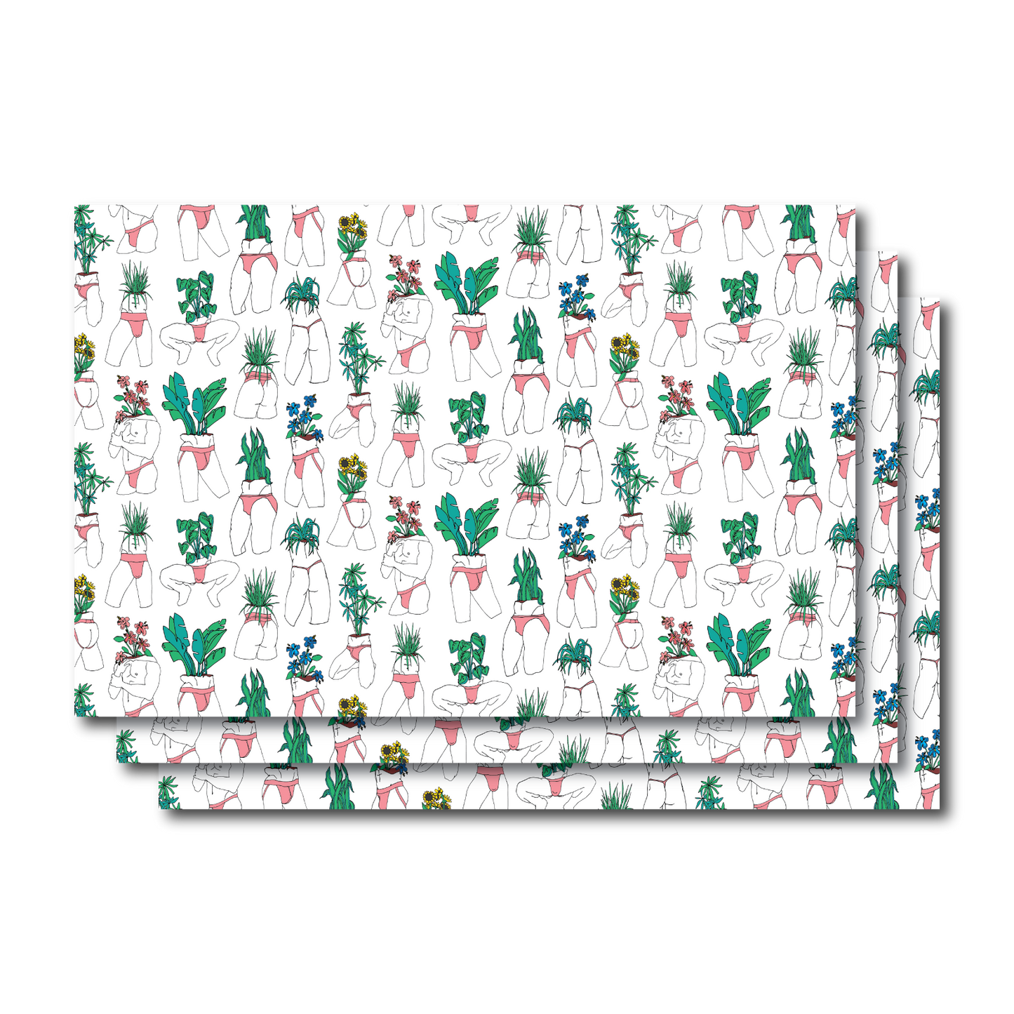 PLANTERS GIFT WRAP
