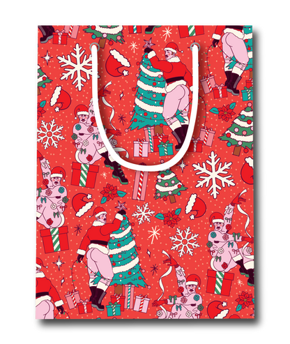 SANTA TOSS HOLIDAY GIFT BAG